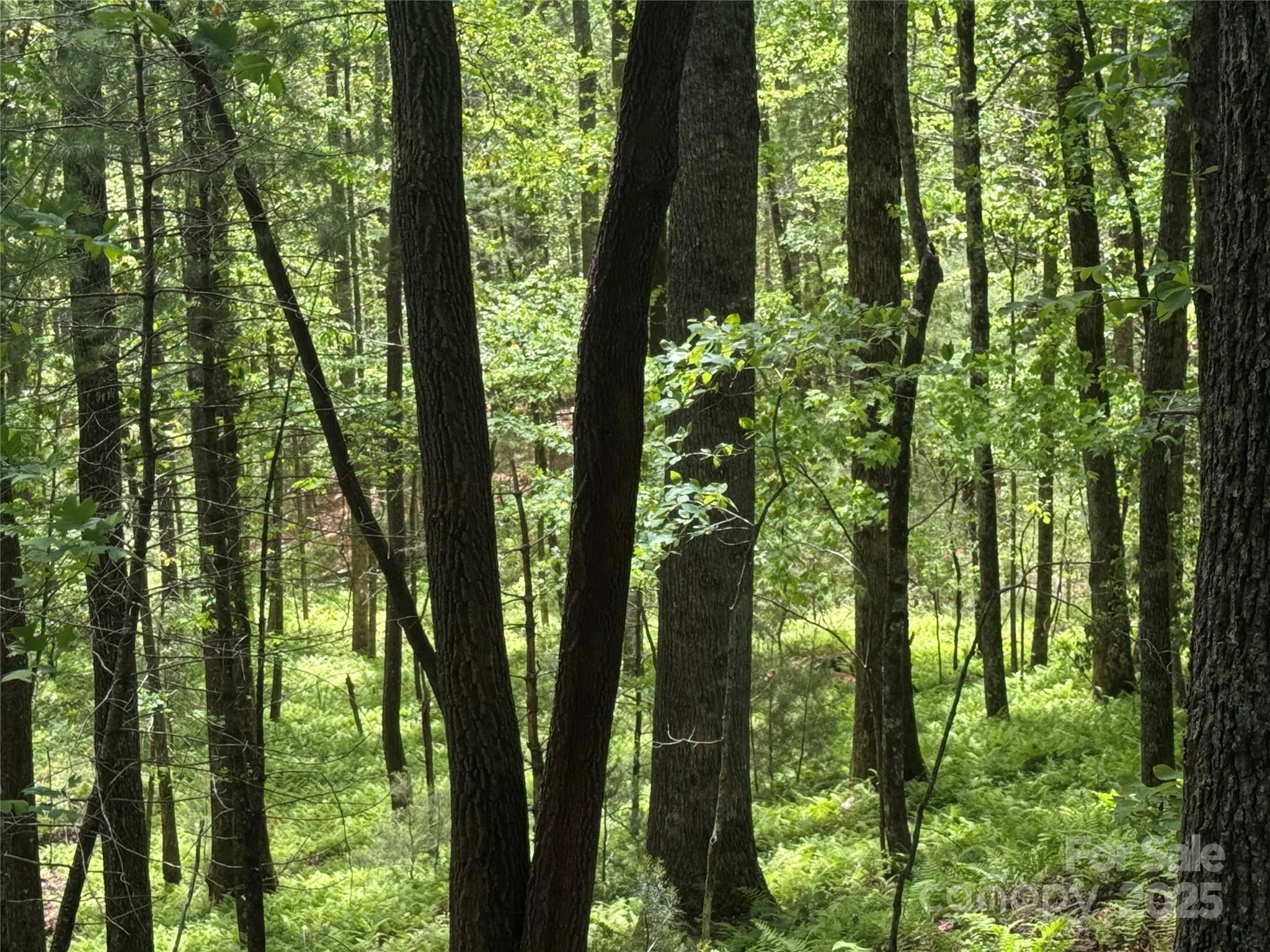 9999 Sassafras Road Unit 4, Cedar Mountain, NC, 28718