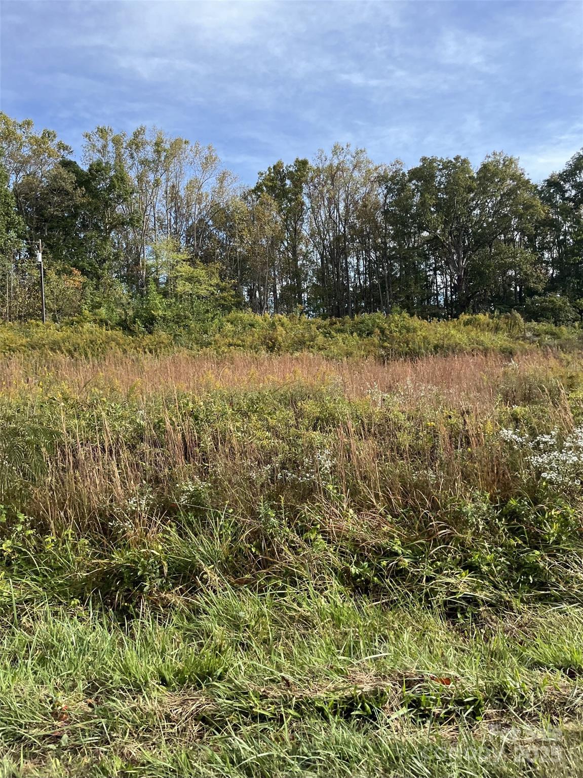 1342 N Green Street N