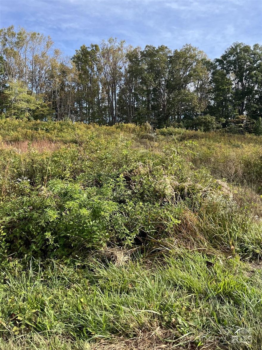 Property is zoned MID by the City of Morganton.  Rolling topography and the most recent use was residential and the structure has been removed.  Property has access to all utilities and is located along Highway 181.