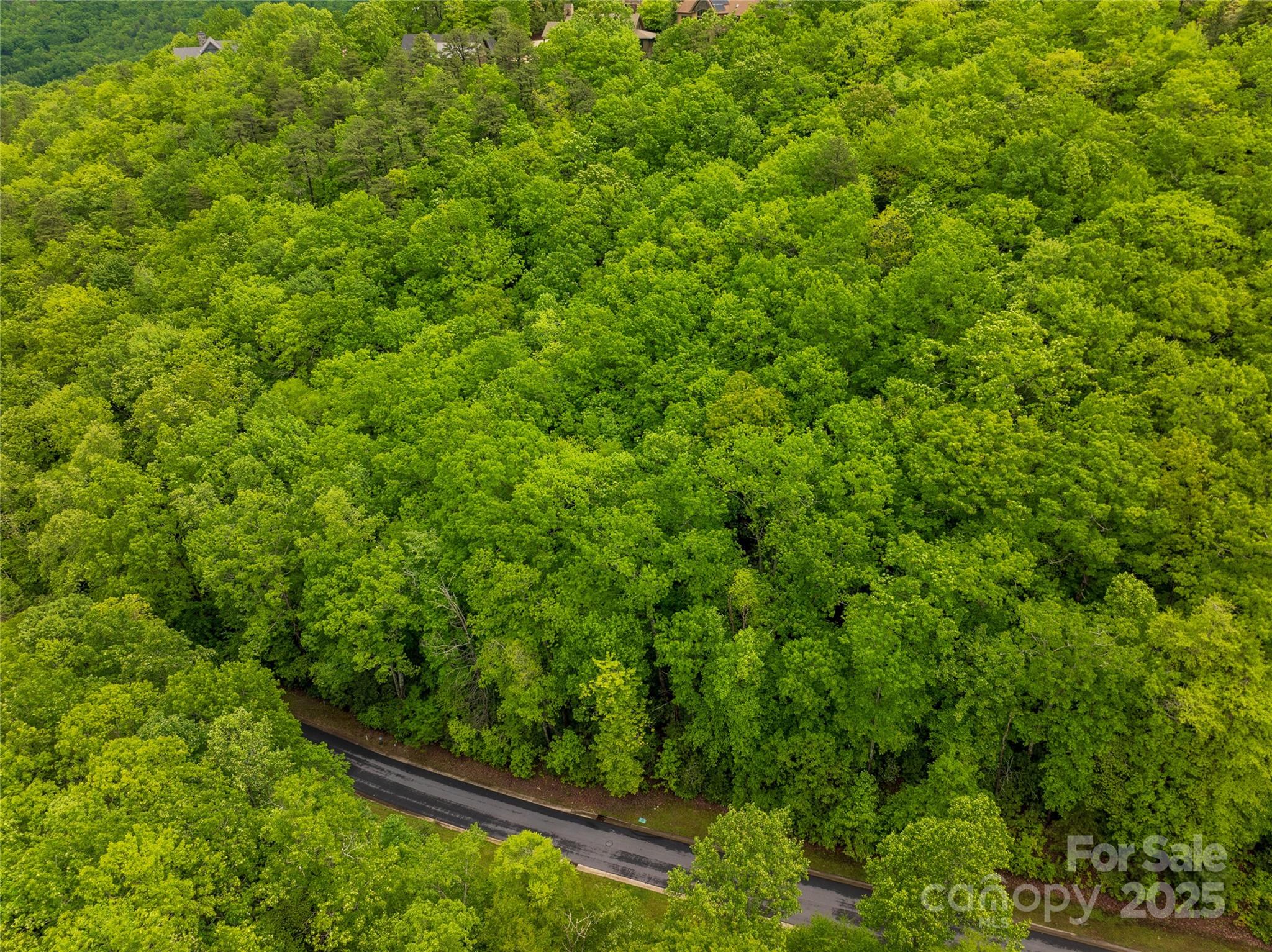 The Settings of Black Mountain - Land