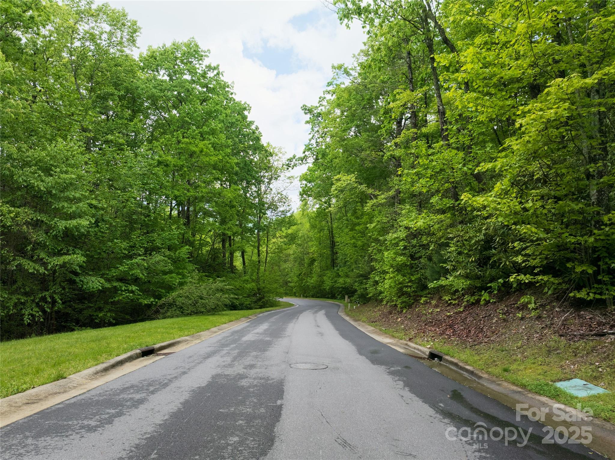 The Settings of Black Mountain - Land