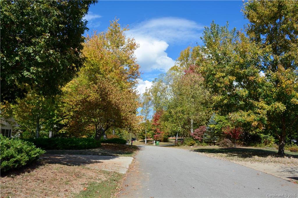 Woods Of Ammons - Land