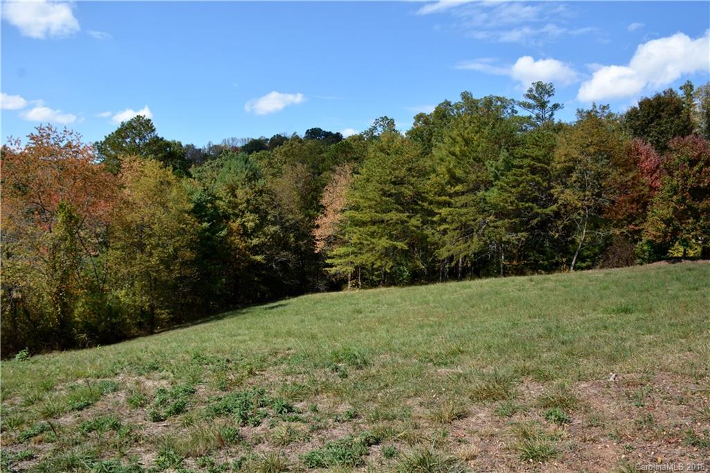 Woods Of Ammons - Land