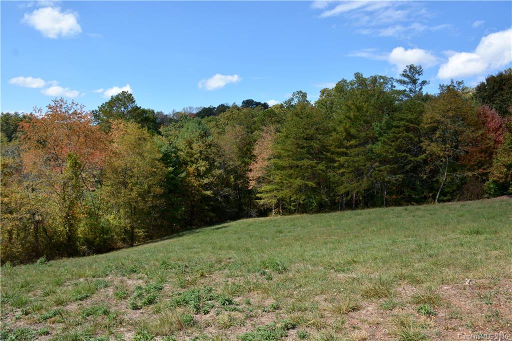 Woods Of Ammons - Land