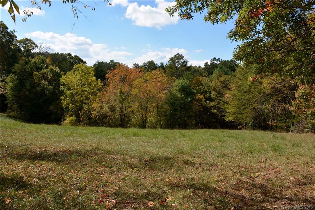 Woods Of Ammons - Land