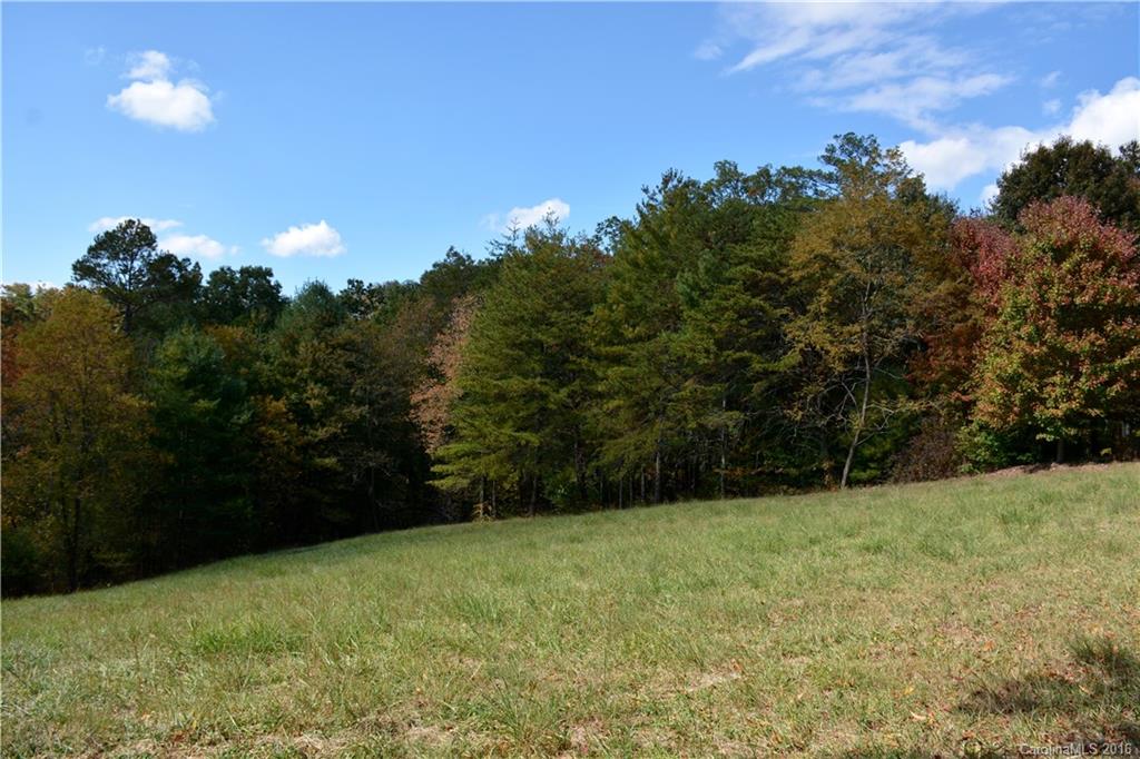 Woods Of Ammons - Land