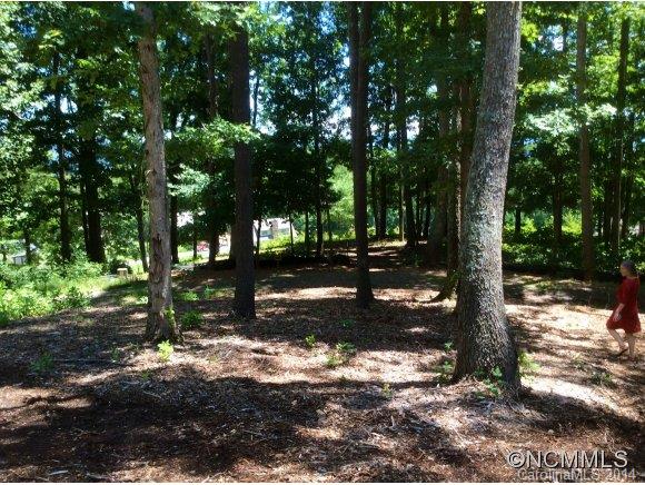 Crest Mountain - Land