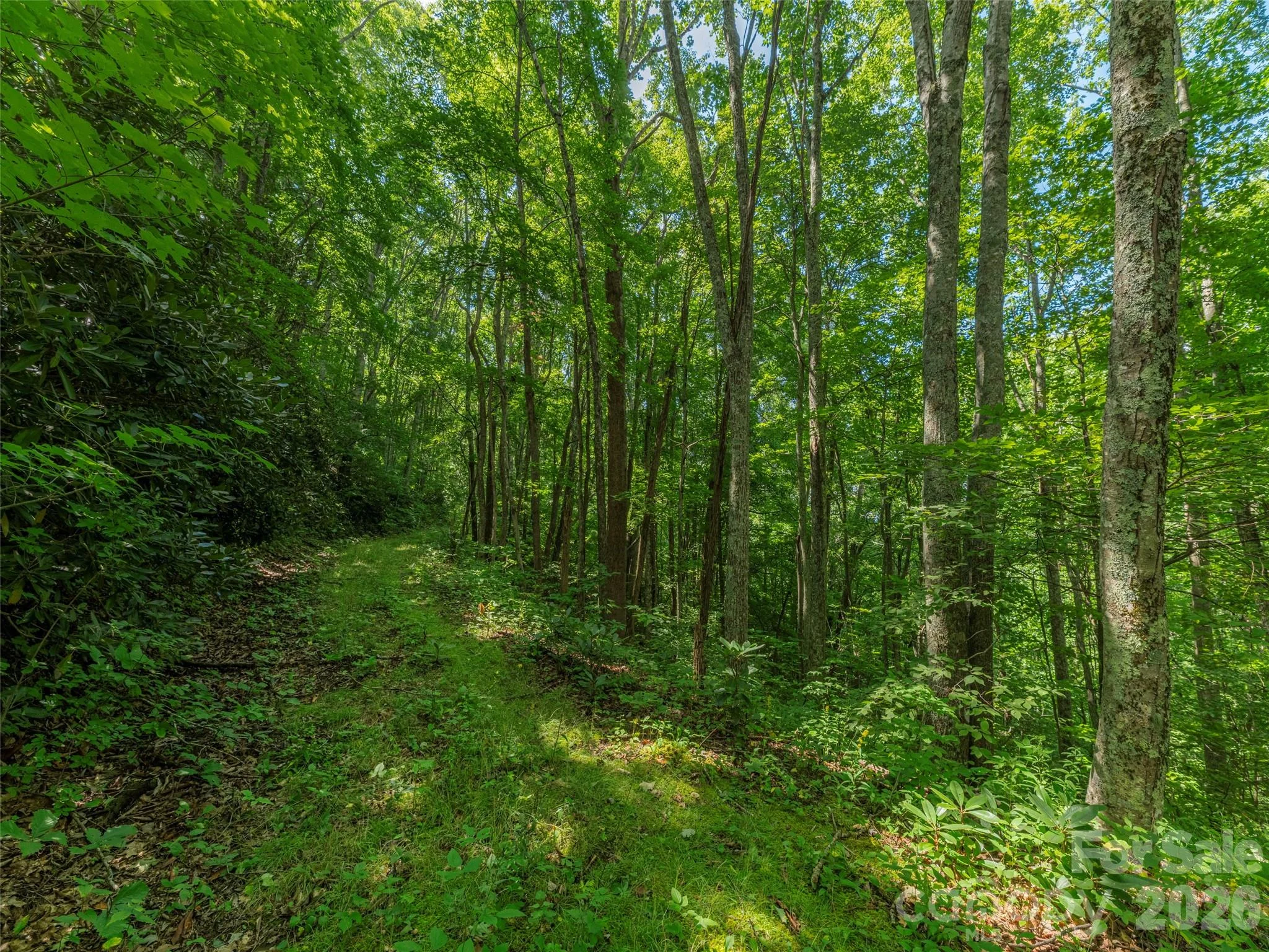 132 Grouse Road Unit 131, 132, 133, 134, Clyde, NC, 28721