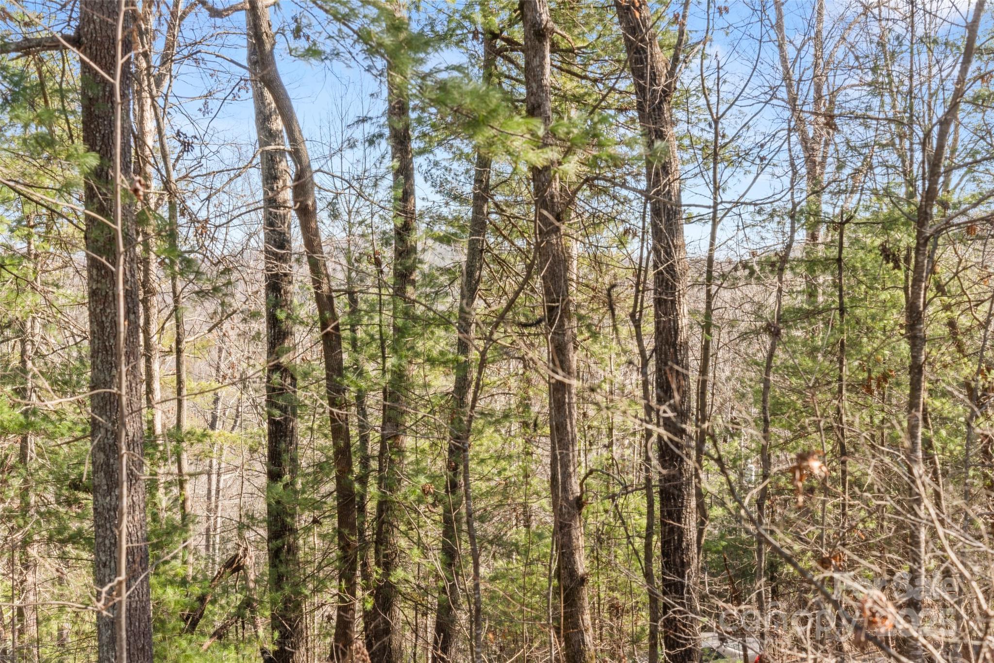 Winfield Cove - Residential