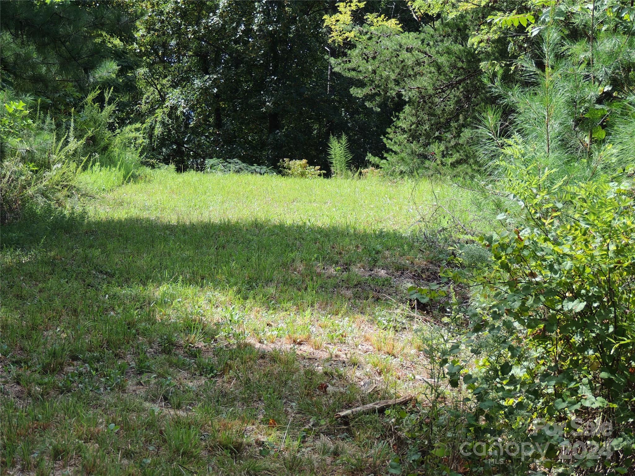 Yellowtop Mountain Estates - Land