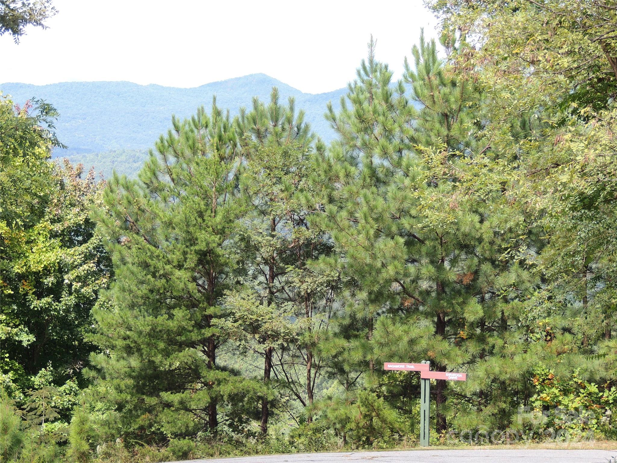 Yellowtop Mountain Estates - Land