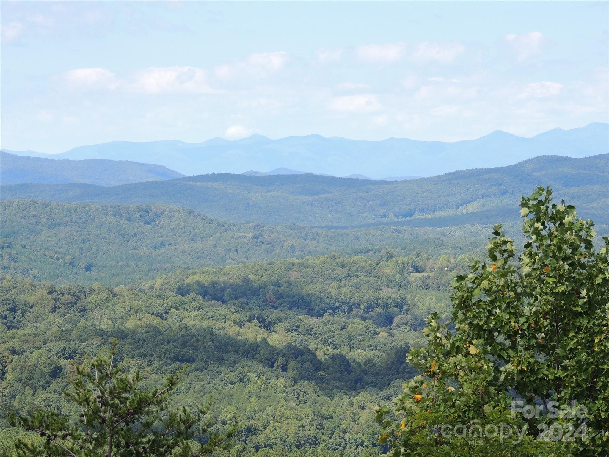 Yellowtop Mountain Estates - Land