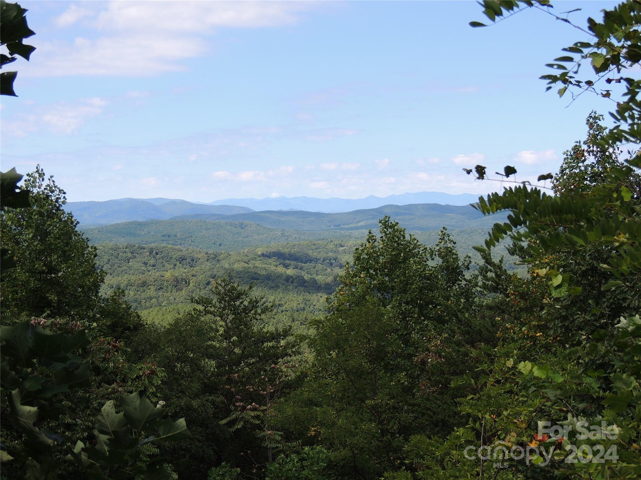 Yellowtop Mountain Estates - Land