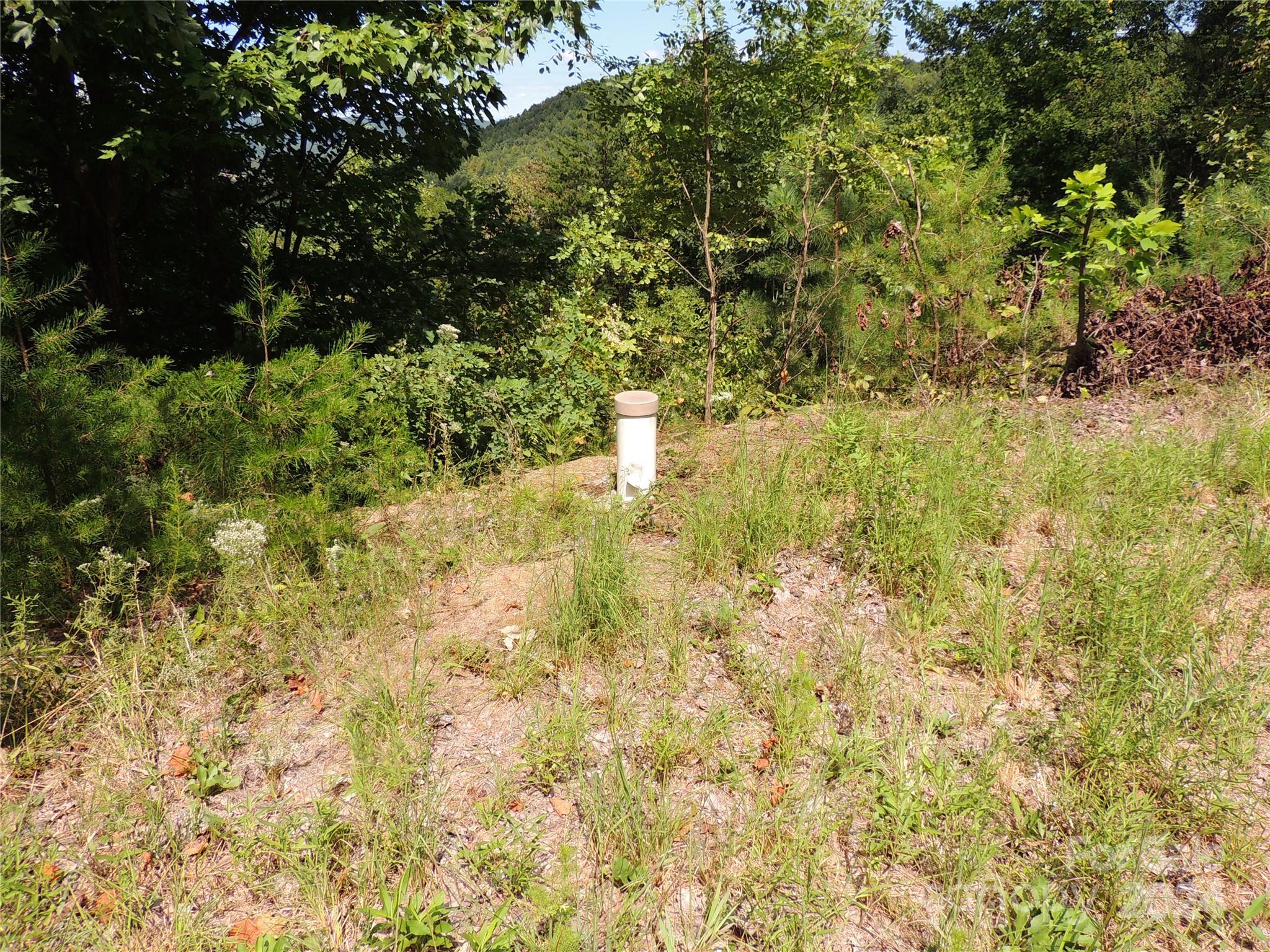 Yellowtop Mountain Estates - Land