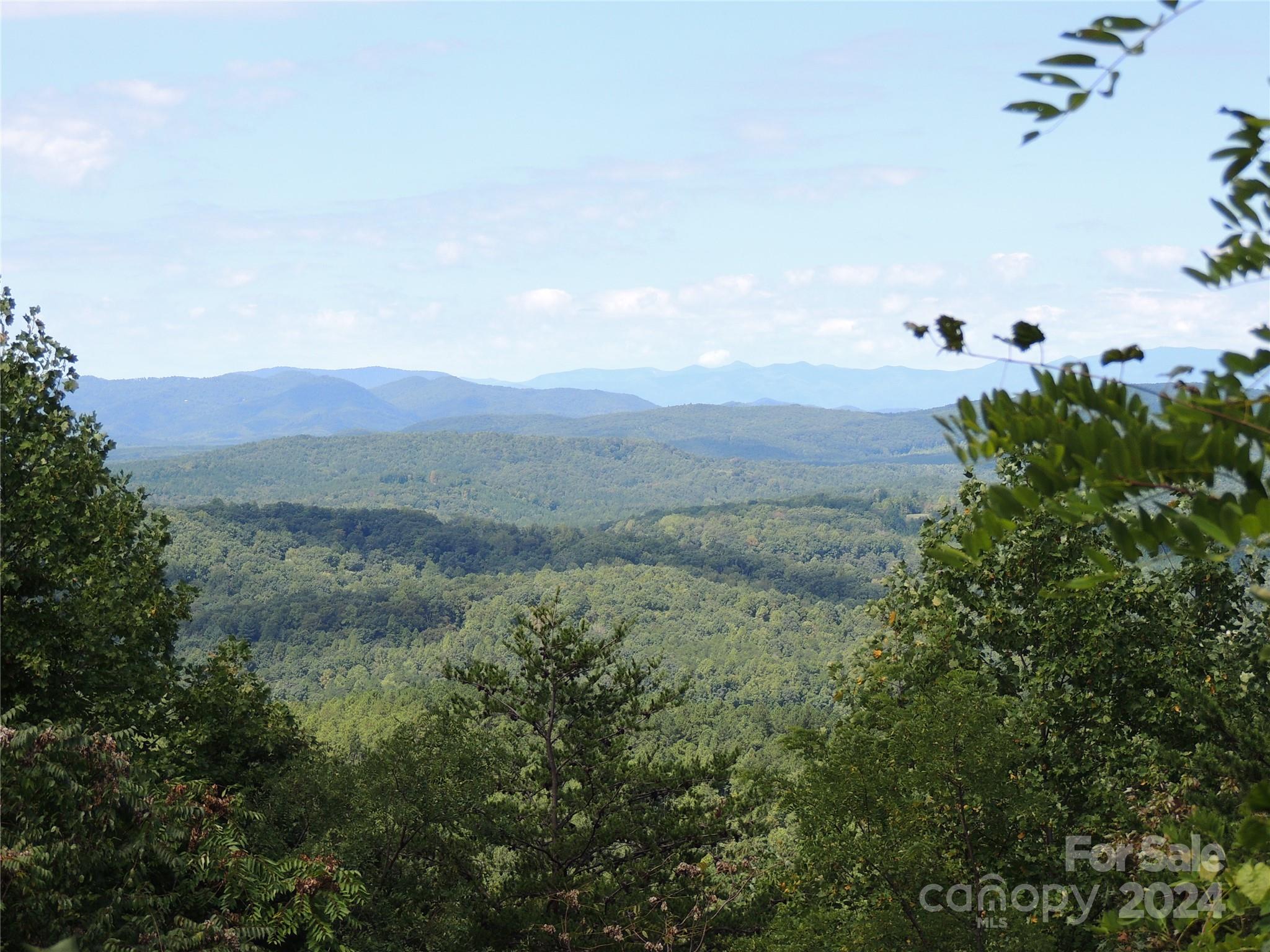 Yellowtop Mountain Estates - Land