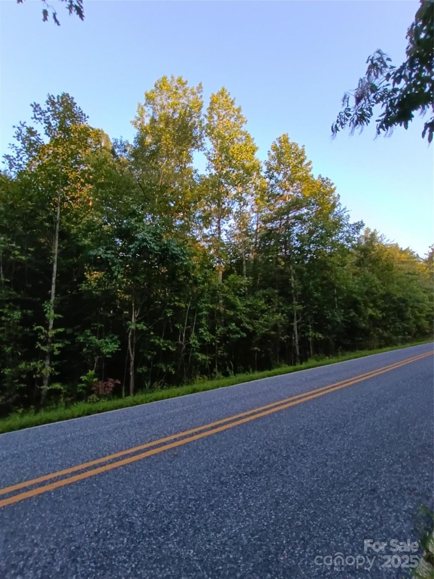 Unrestricted land in the beautiful Sunshine area.  Creek and a spring. Completely wooded and the terrain is hilly, but has on old roadbed to access.  Plenty of county, paved road frontage, can be divided.  Very private.