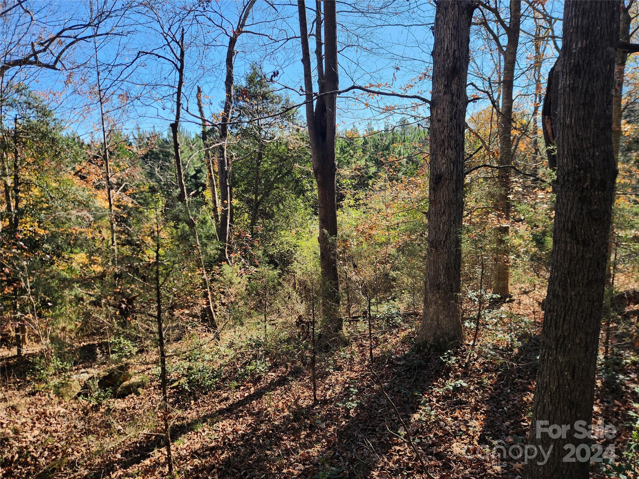 451 Low Bridge Road
