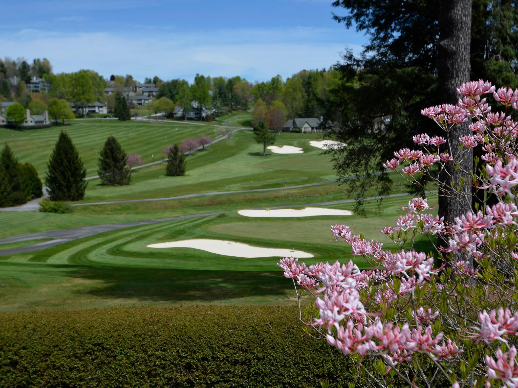 Kenmure - Residential