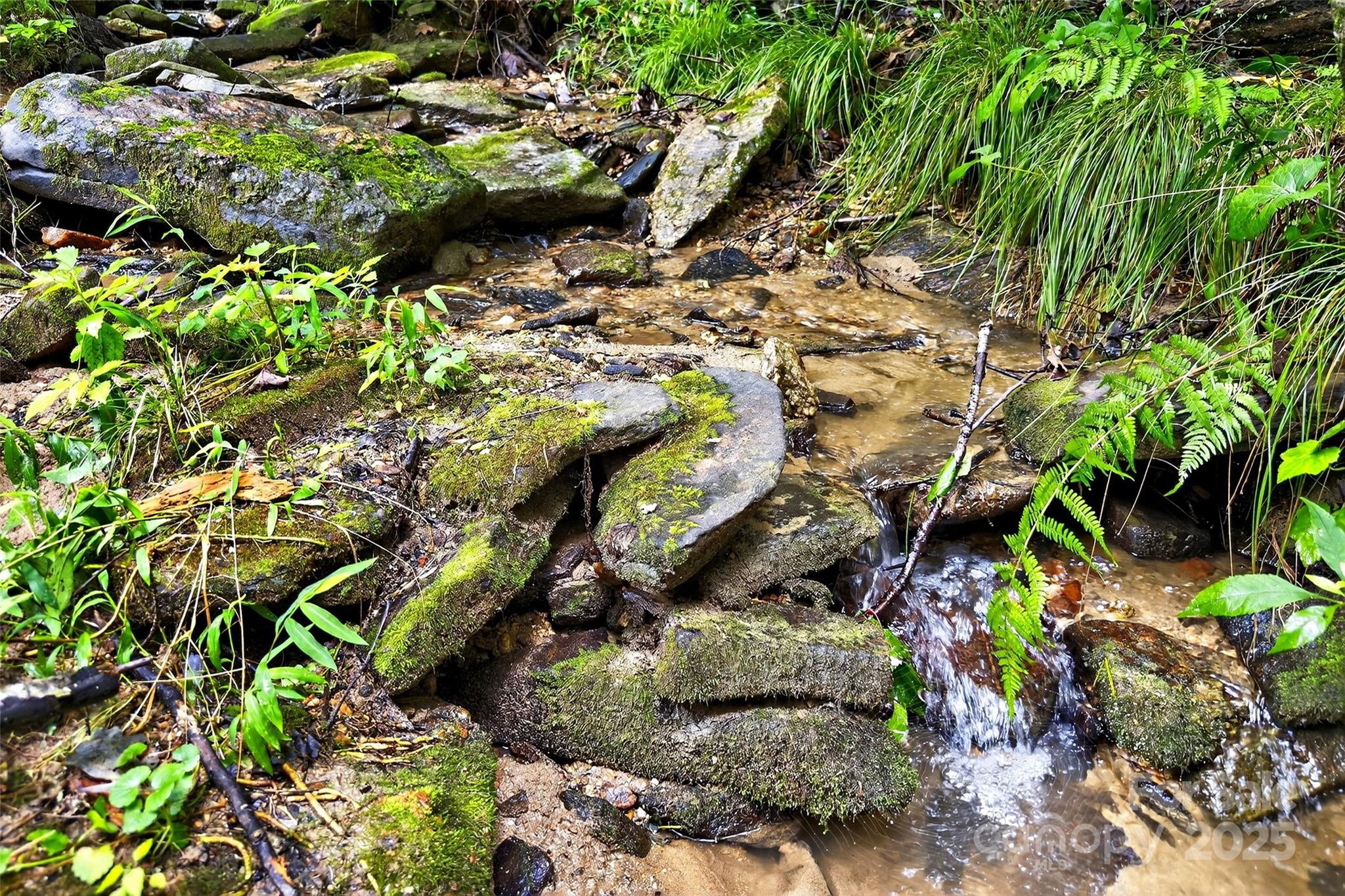 Gateway Mountain - Residential