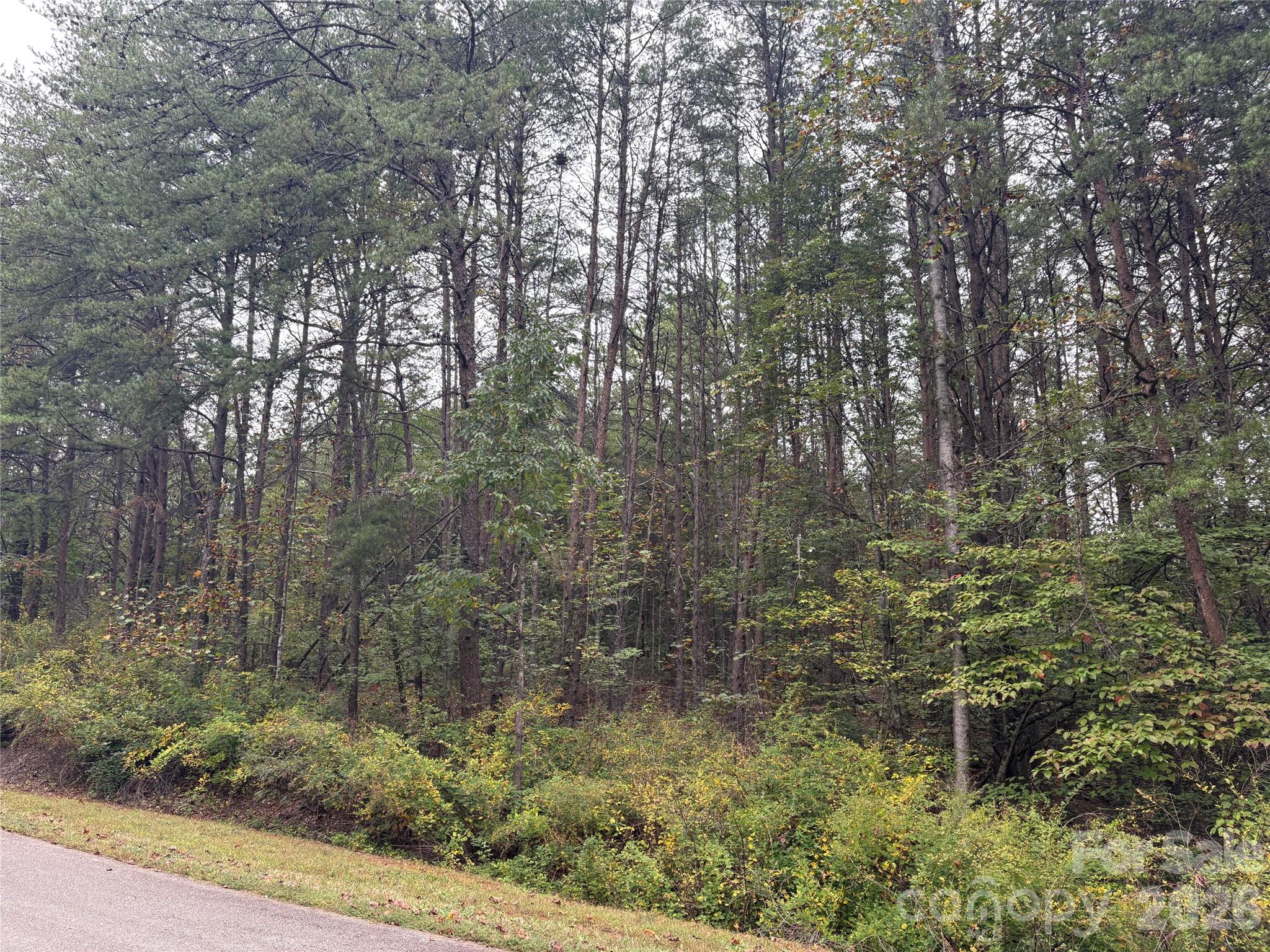 lot 19 Silent Forest Way