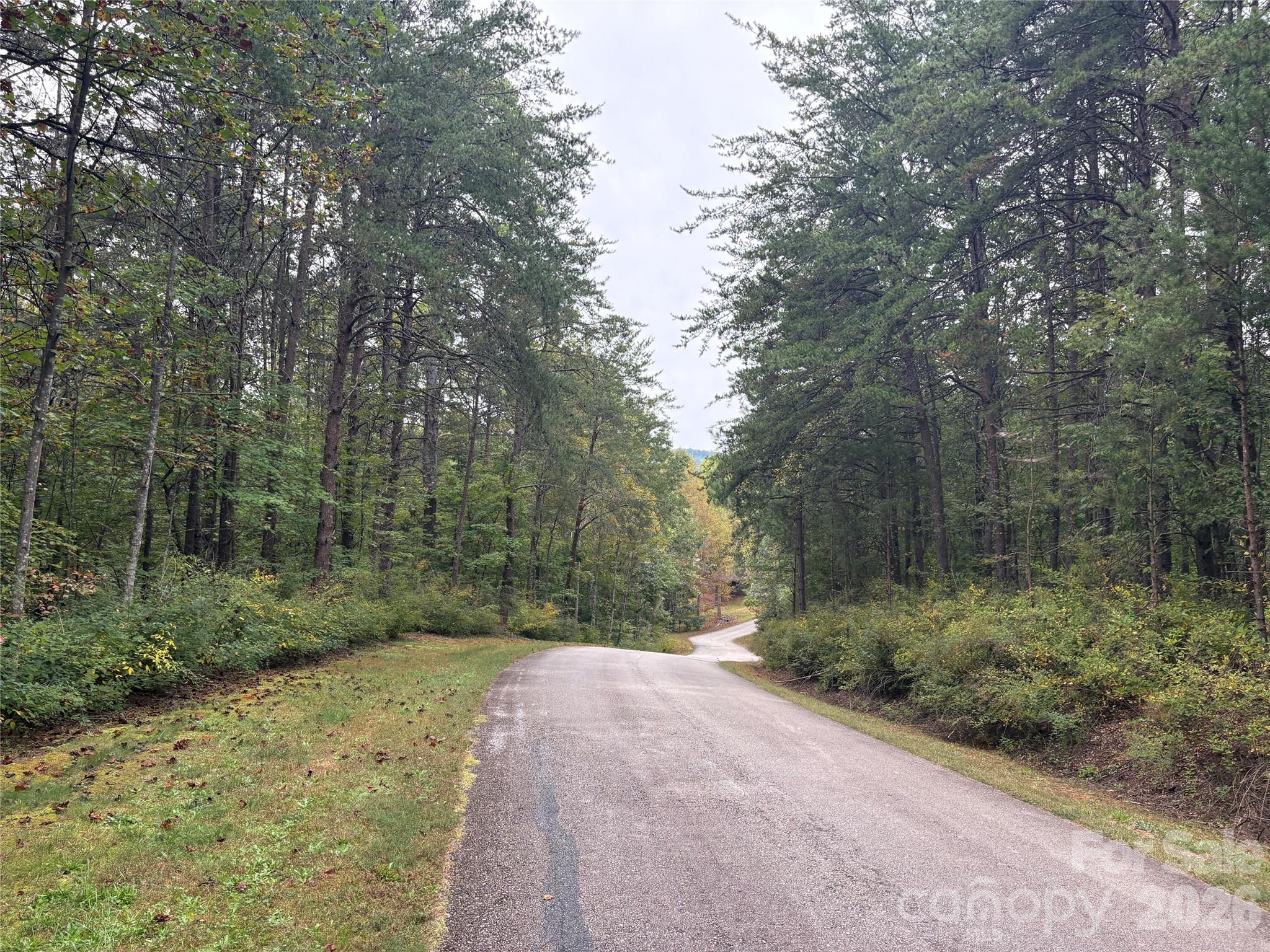 lot 19 Silent Forest Way