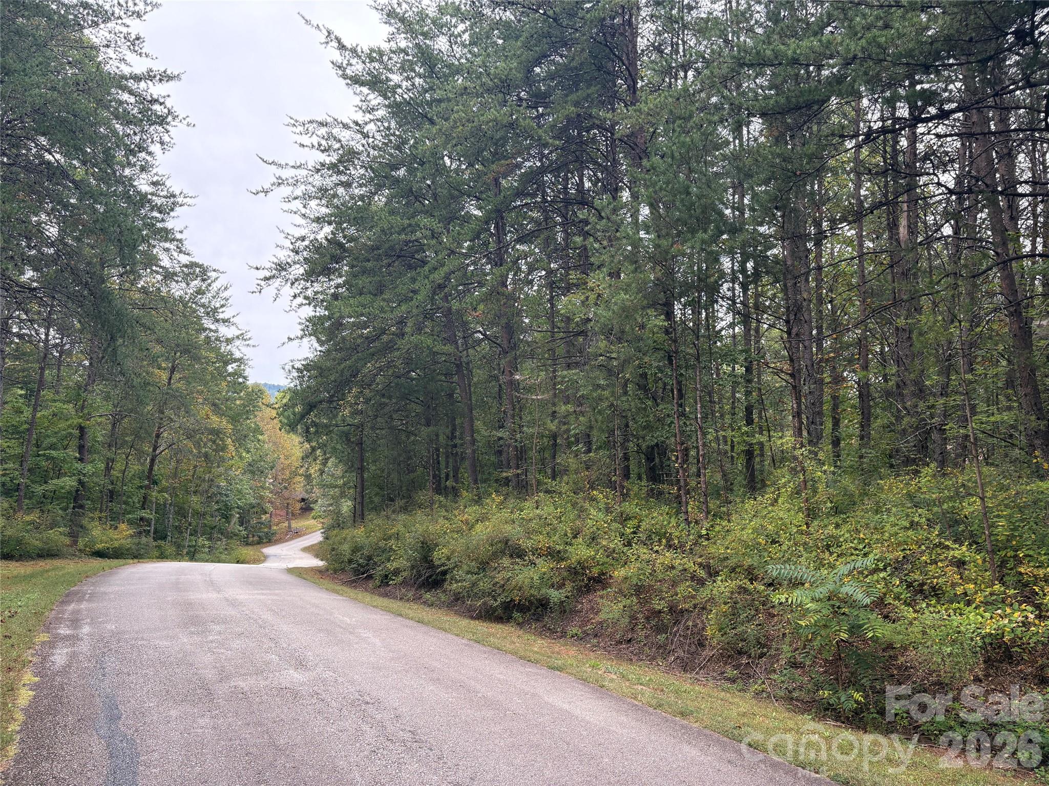 lot 19 Silent Forest Way