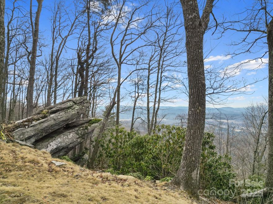Lot 65 is located in the heart of Couch Mountain and embodies a harmonious blend of eco-conscious living and breathtaking natural beauty. Perched atop an upland plateau, just 30 minutes south of Asheville and 20 minutes north of Hendersonville, this haven showcases the essence of mindful living. The philosophy here is simple yet profound: to create a home while preserving the sanctity of the surrounding landscape. Facing west, the lot unveils an awe-inspiring panorama of the ancient Appalachians, stretching seamlessly from north to south. Here, nature's artwork takes center stage, inviting residents to embrace the tranquility and splendor of the wilderness. What sets Couch Mountain apart is its commitment to conservation; a remarkable 138 acres of the sprawling 395 acres have been devoted to preservation into perpetuity, ensuring a legacy of natural wonder for generations to come. Lot 65 has percolated for a four bedroom home.