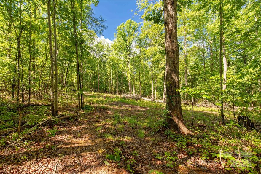 Looking to build your dream home? Look no further! Nestled on over 6 acres of serene, wooded landscape, 5212 Star Magnolia offers the perfect blend of privacy and natural beauty. Tucked away from the hustle and bustle, this rare opportunity provides a peaceful setting surrounded by mature trees and lush greenery—ideal for creating your custom retreat. Whether you envision a cozy cottage or a sprawling estate, this expansive lot gives you the freedom to bring your vision to life. Don’t miss your chance to own a slice of tranquility in a truly exceptional location! Septic Permit for 3 bedroom home is in the associated documents.