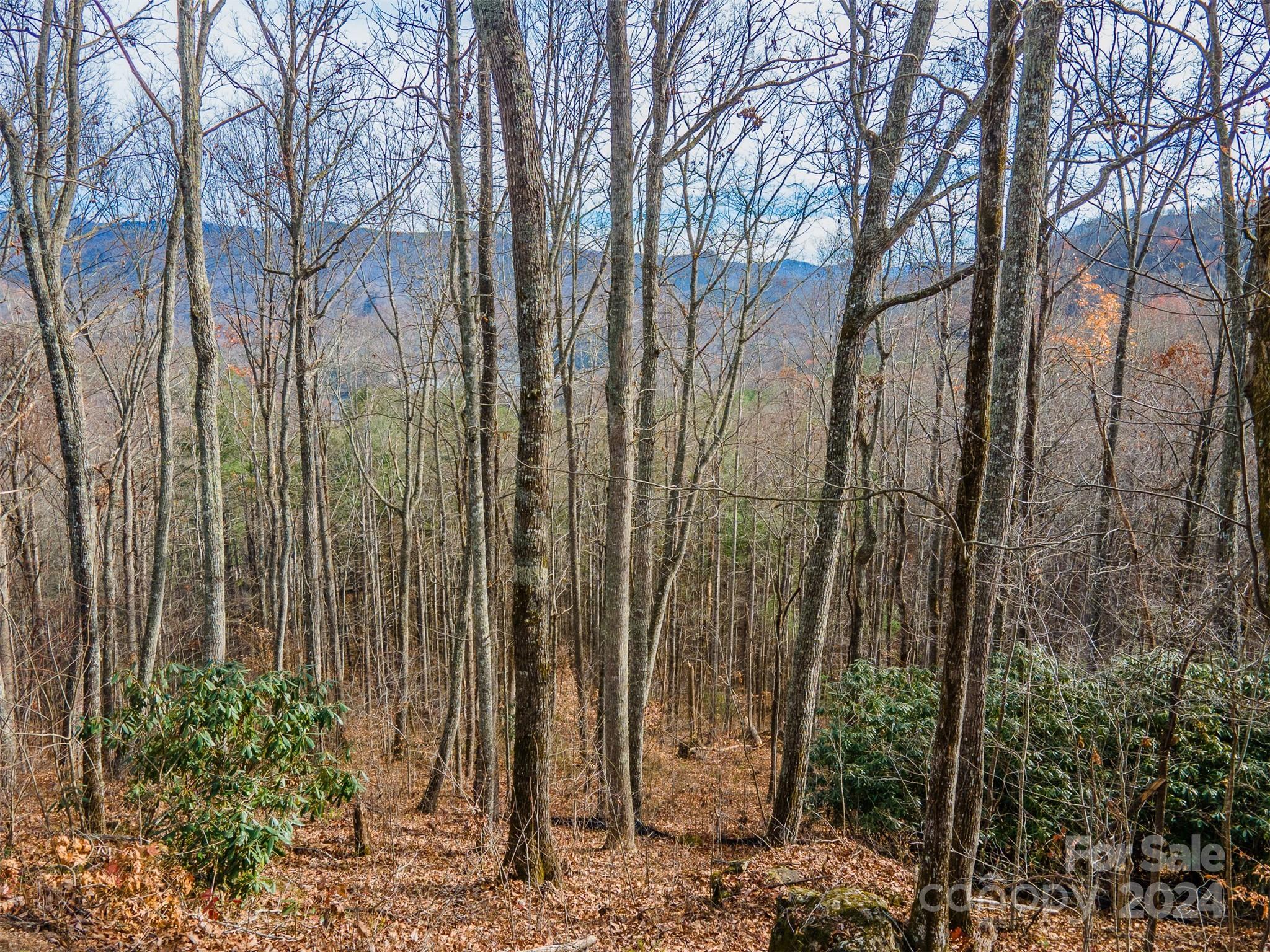 520 Morningside Drive 51