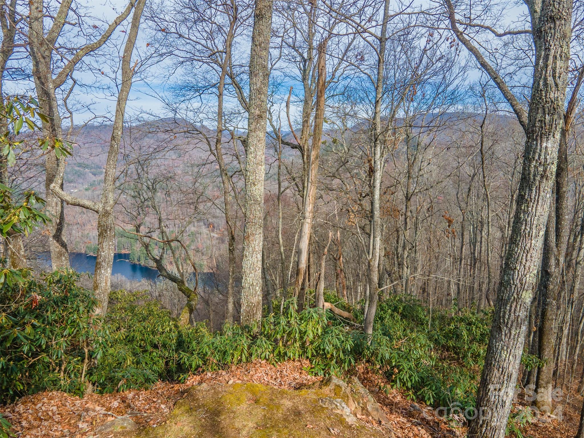 Bear Lake Reserve - Land