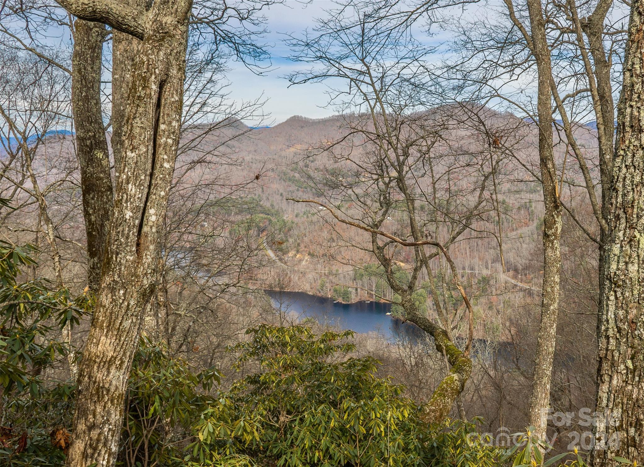 Bear Lake Reserve - Land