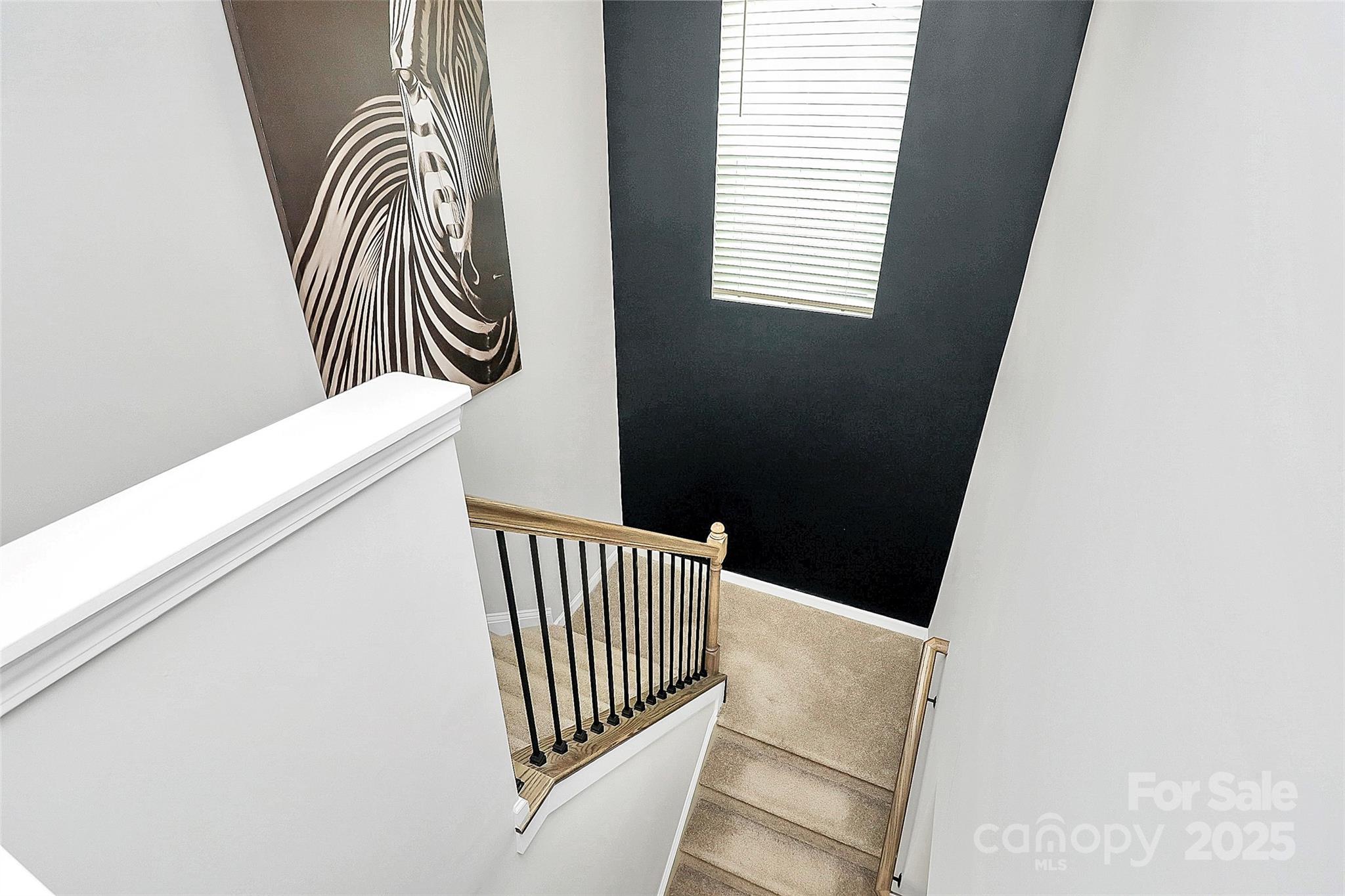 Baileys Run - Residential