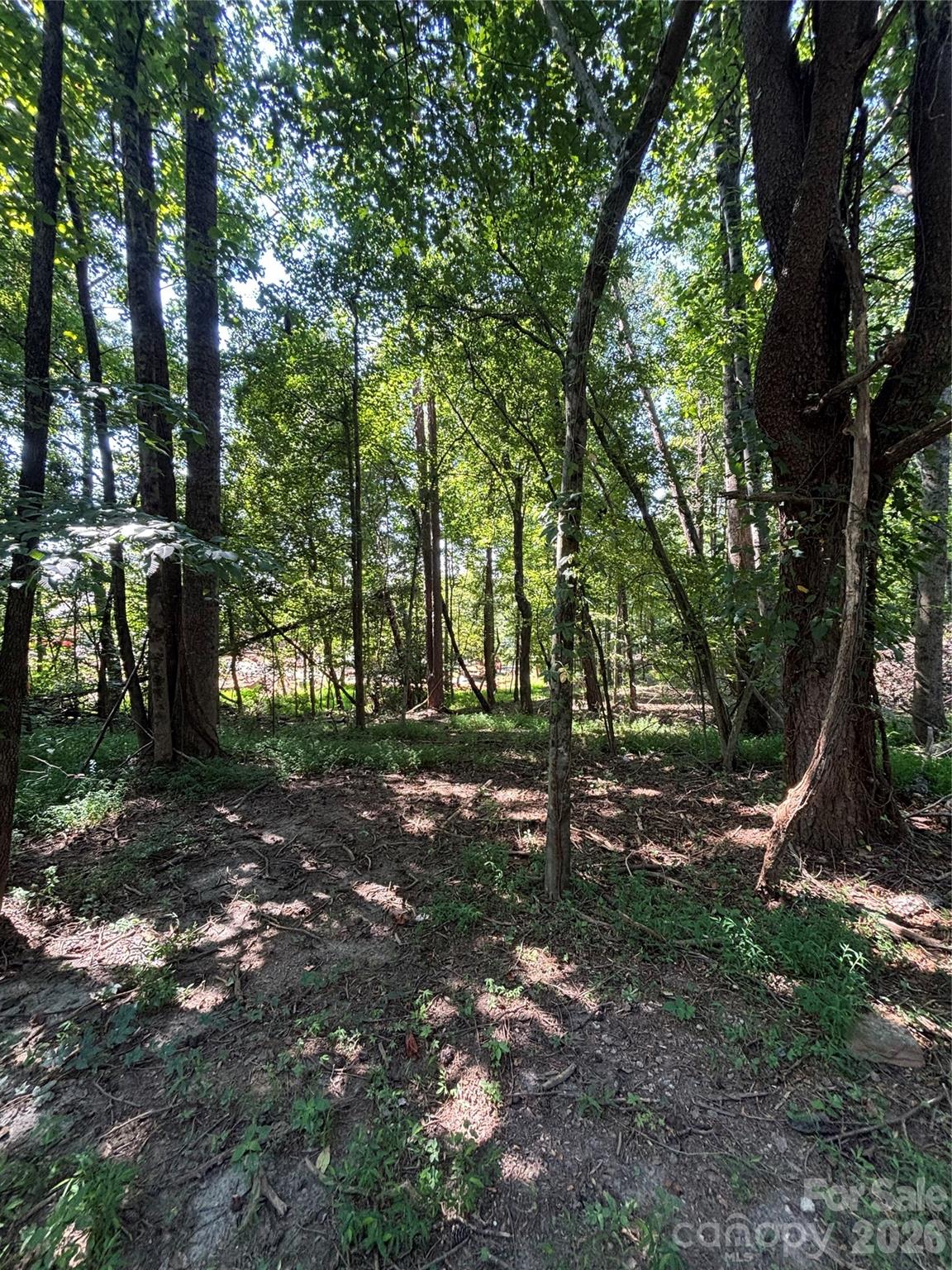 000 Pineview Court