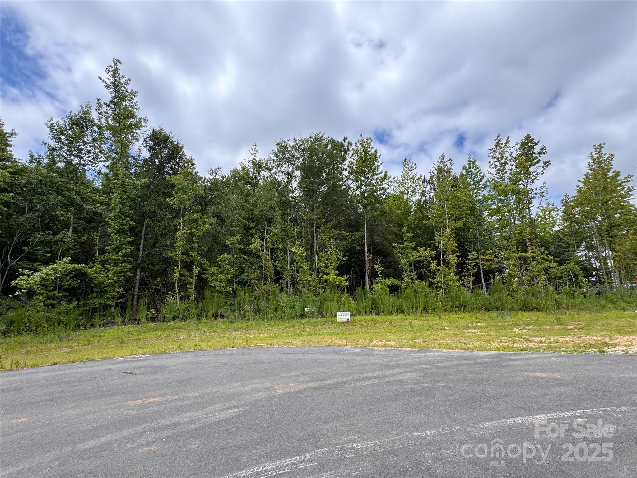 4036 Deerstone Lane 22