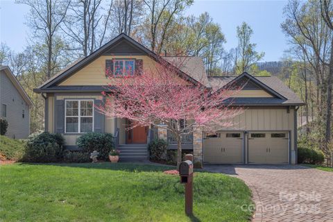 28 Sparkle Dun Drive Biltmore Lake NC 28715