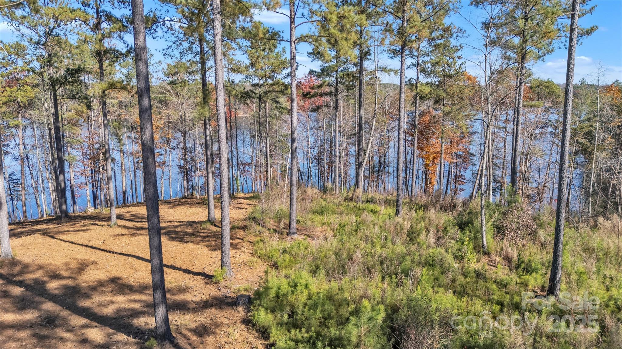 Lakeside Reserve - Land