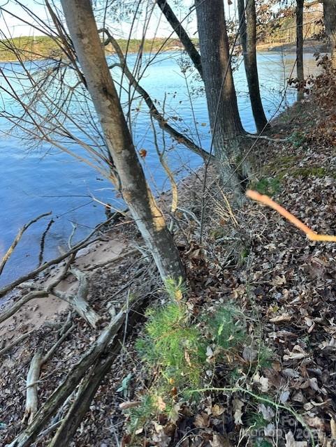 Lakeside Reserve - Land