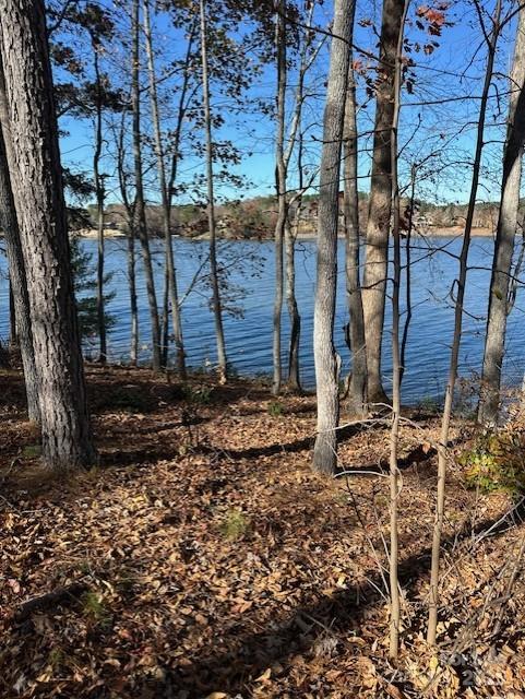 Lakeside Reserve - Land