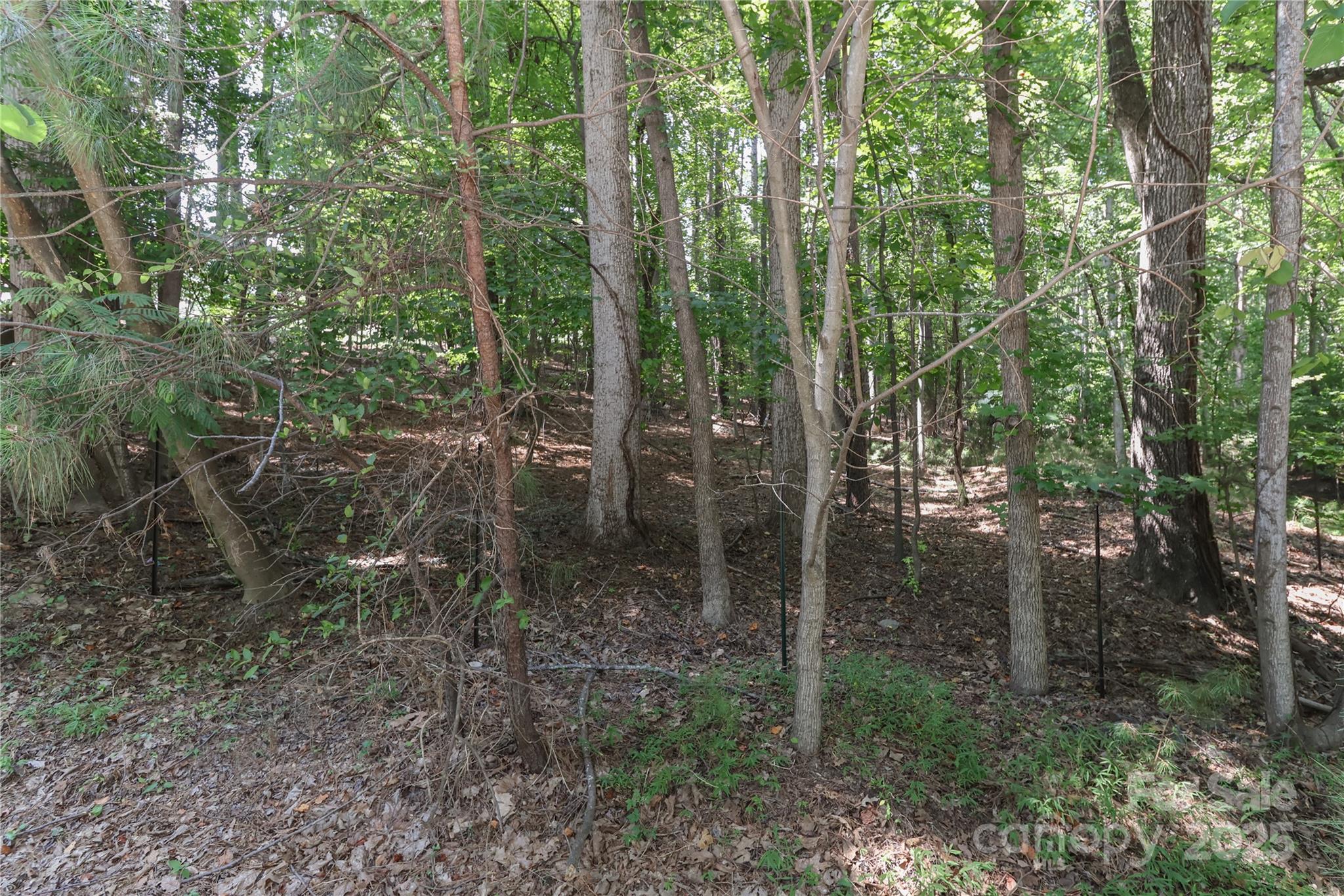 372 Kenway Loop