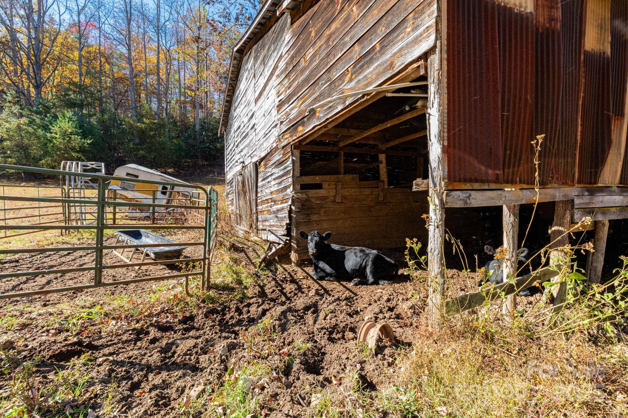 671 Island Hollow Road