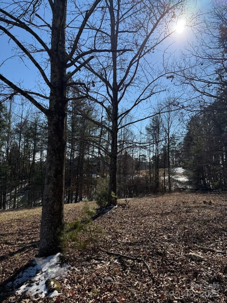 0 Springbrook Lane