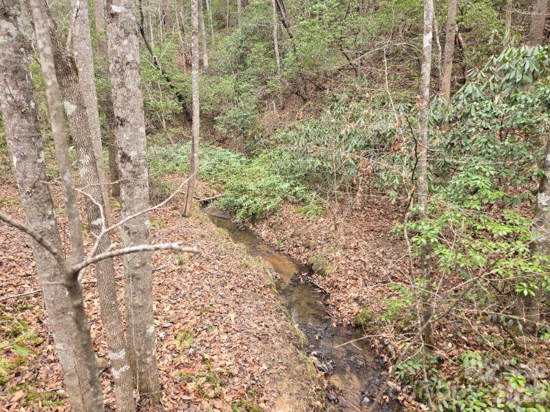 Riverbend at Lake Lure - Land