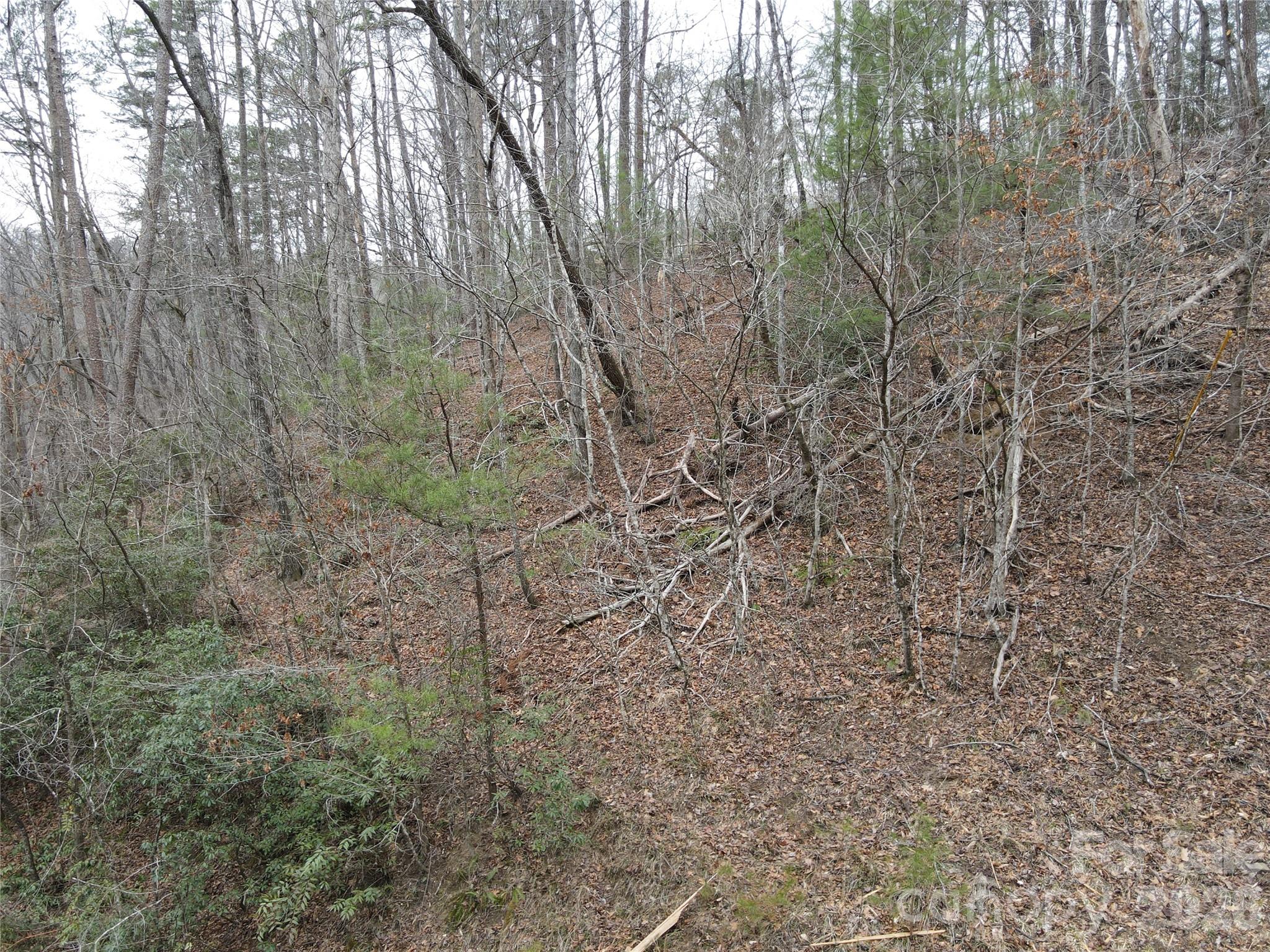 Riverbend at Lake Lure - Land