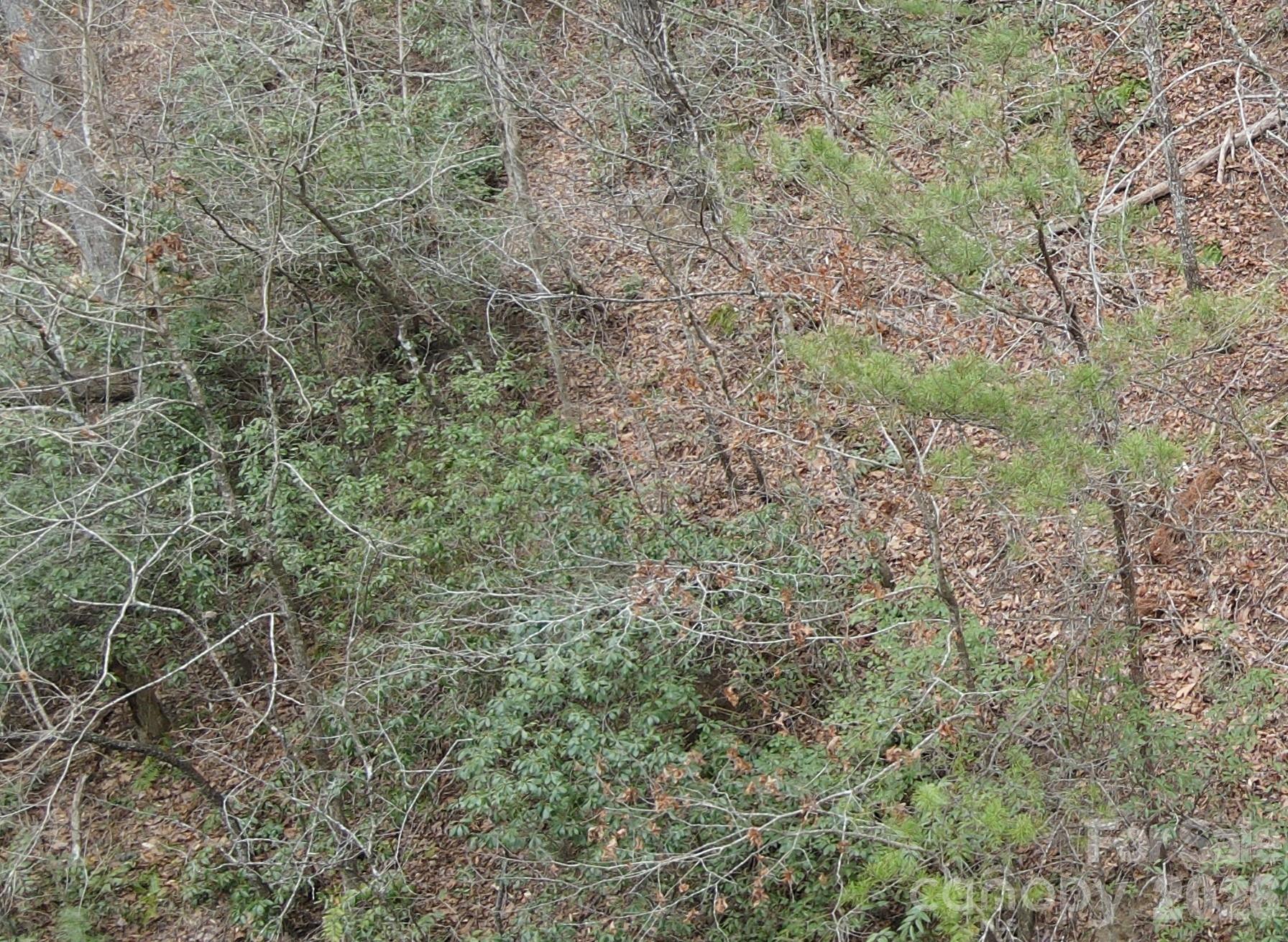 Riverbend at Lake Lure - Land