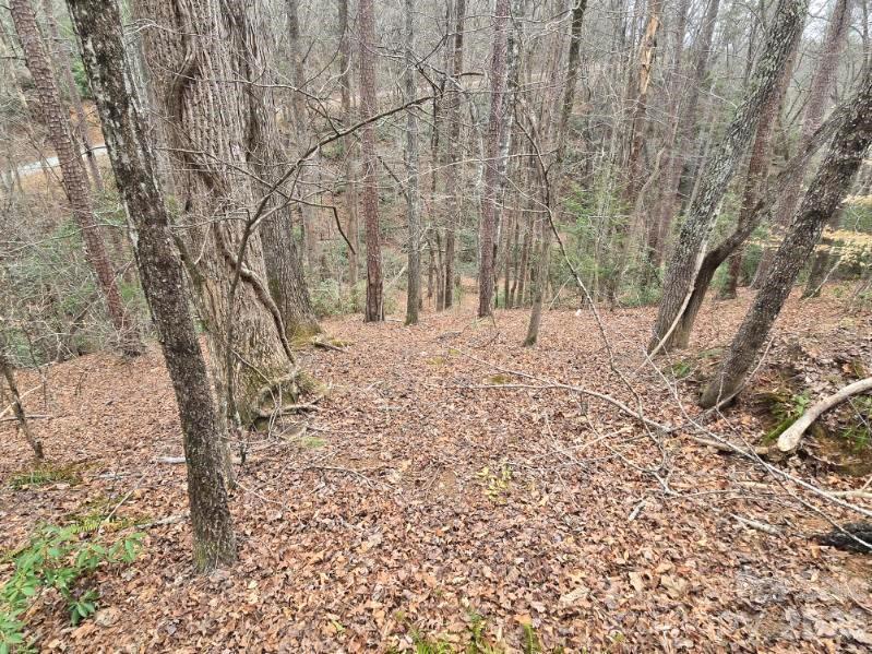 Riverbend at Lake Lure - Land