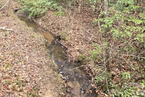 Riverbend at Lake Lure - Land