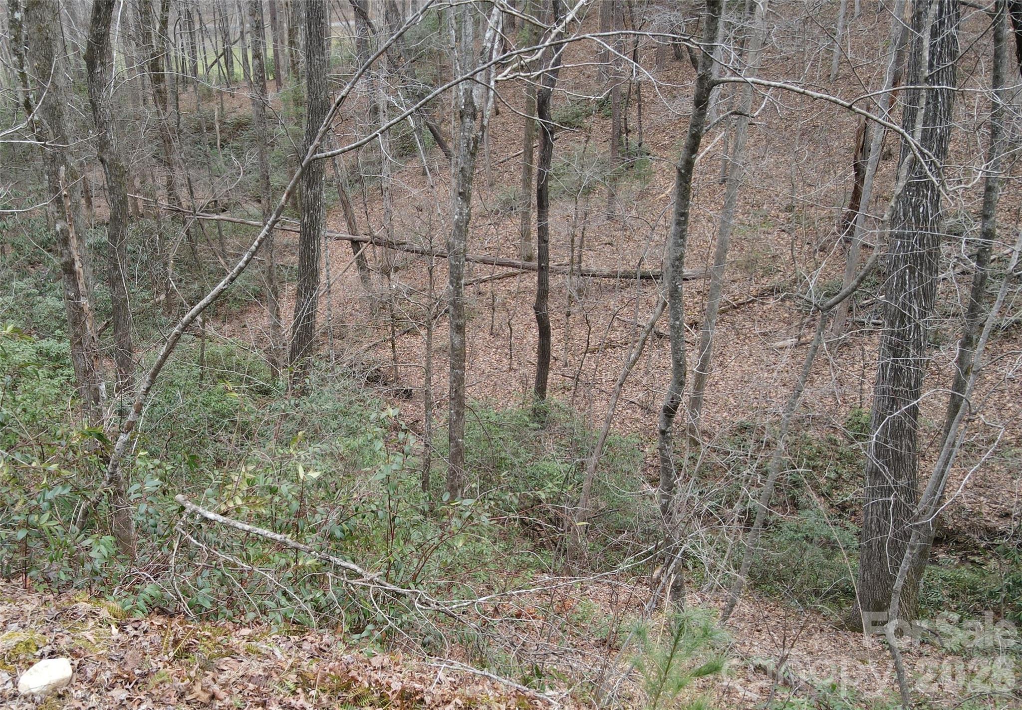 Riverbend at Lake Lure - Land