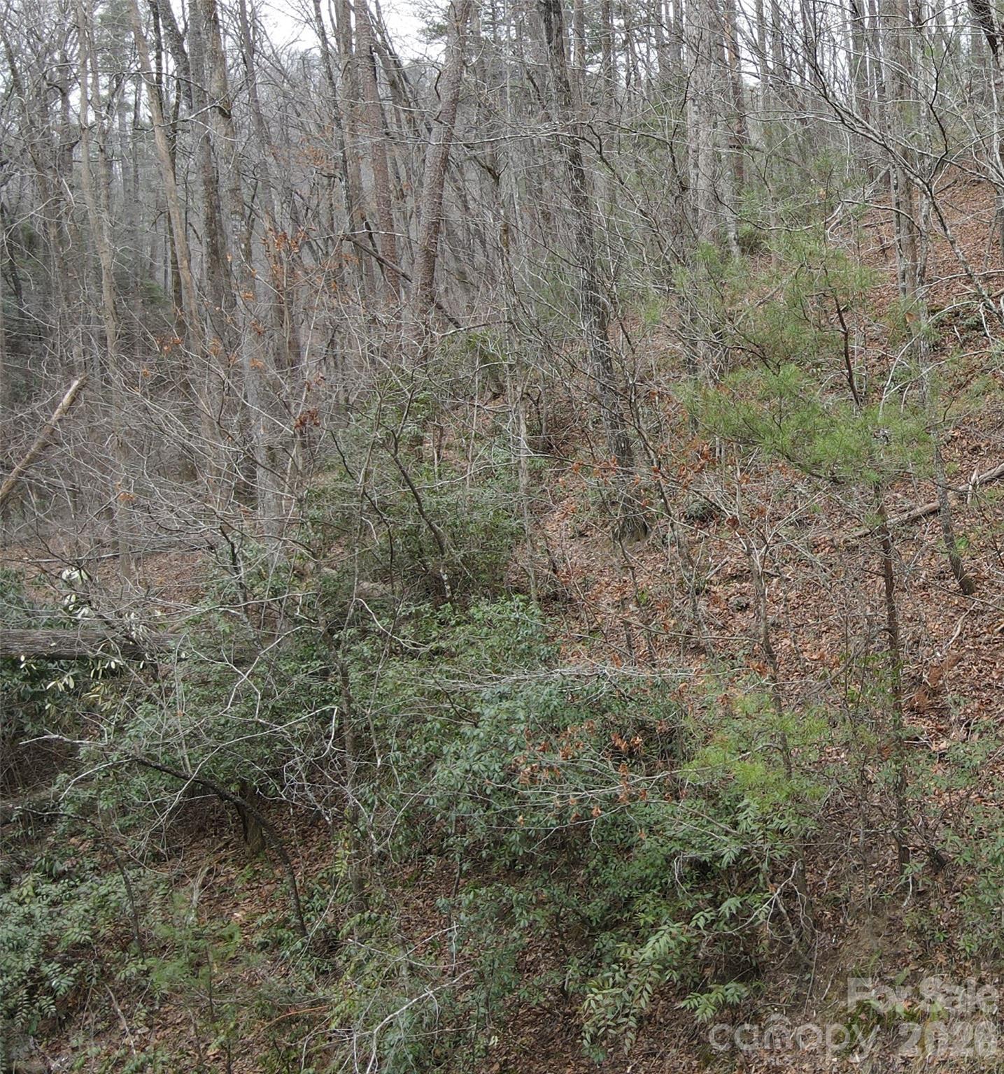 Riverbend at Lake Lure - Land