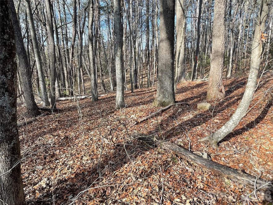 LOT 3 ON THE SUVEY. Flat, easy to clear land in a convenient location. Only 5 minutes to downtown Black Mountain or Swannanoa which is getting a serious redo after Helene. Survey and soil test in attachments. *Manufactured singlewide of no value transfers (very old and dilapidated, will be easy to get rid of). *You will see a "no trespassing sign", that's only for the neighbors lot, NOT THE LOTS THAT ARE FOR SALE. You have permission go past that sign and park to the left of the first for sale sign... just don't park on neighbors land. *there are a total of 3 lots available. Each lot is being sold separately or you can buy all 3. (If interested in all 3 lots reach out to agent for price). Buyer to confirm utilities.  Seller is motivated!