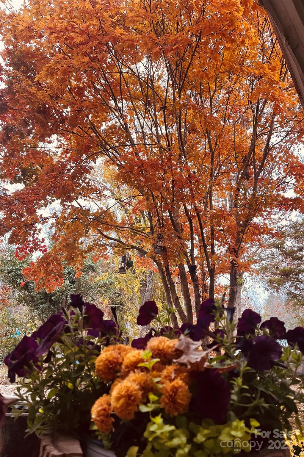 86 R and R Hyder Lane